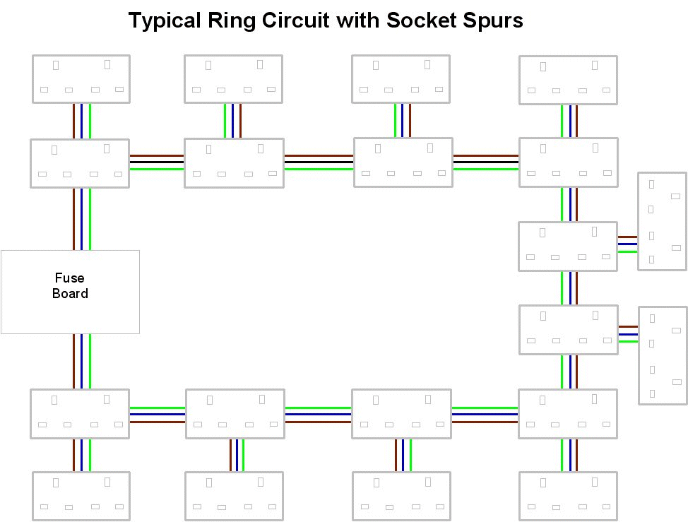 Ring circuit with multiple spurs.